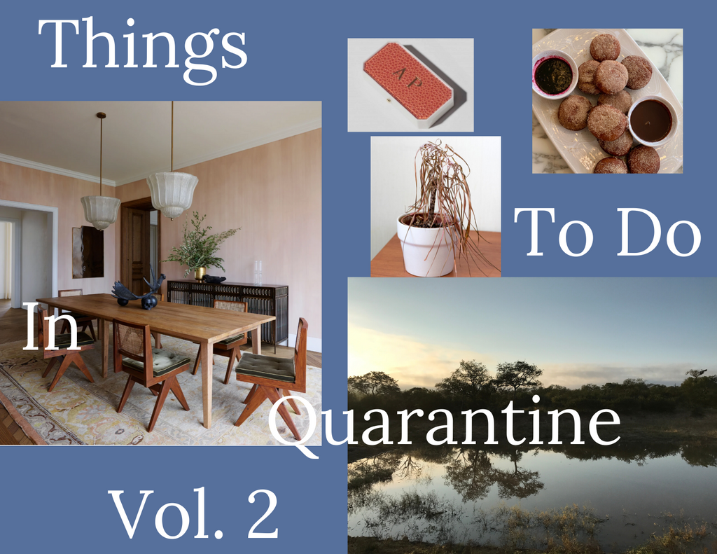 Things To Do In Quarantine, Vol.2